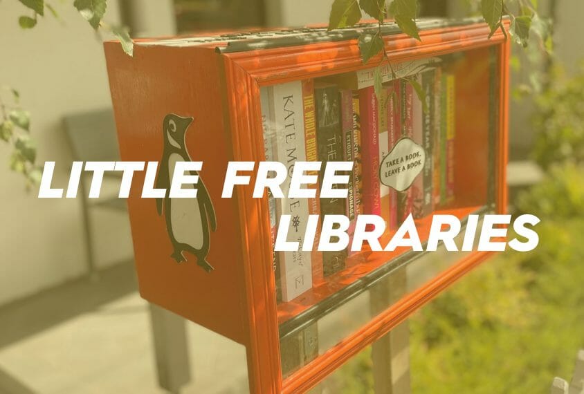 The Little Free Libraries of Brunswick